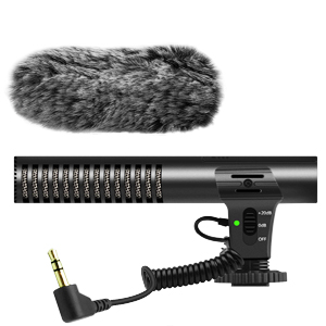 video microphone