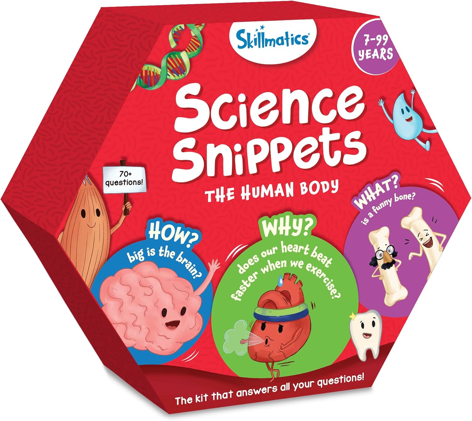 Skillmatics Flash Cards - Science Snippets The Human Body, Learning Resources & Educational Toys for Boys & Girls, Gifts for Ages 7, 8, 9 & Up, 70+ Cards Edu Expertise Hub Human Resources