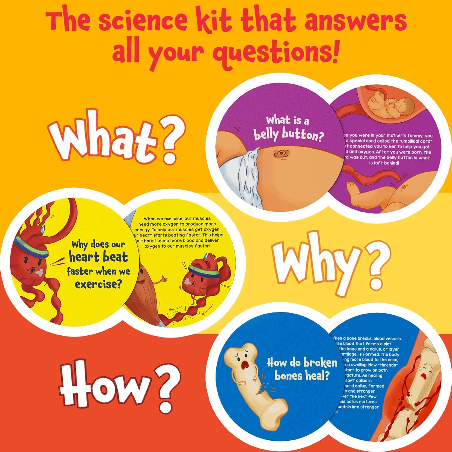 81Ru9yQSBCL. AC SL1500 Skillmatics Flash Cards - Science Snippets The Human Body, Learning Resources & Educational Toys for Boys & Girls, Gifts for Ages 7, 8, 9 & Up, 70+ Cards Edu Expertise Hub Human Resources