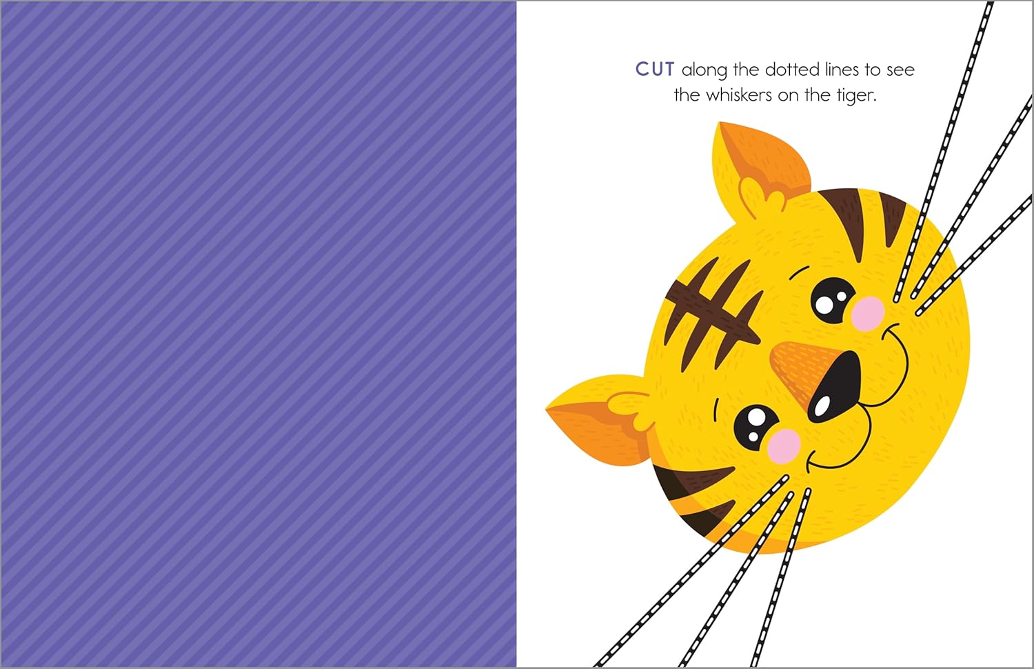 71U12N0zf6L. SL1500 My First Scissor Skills Workbook: Cut-and-Paste Activities to Build Hand-Eye Coordination and Fine Motor Skills (My First Preschool Skills Workbooks) Edu Expertise Hub Skills