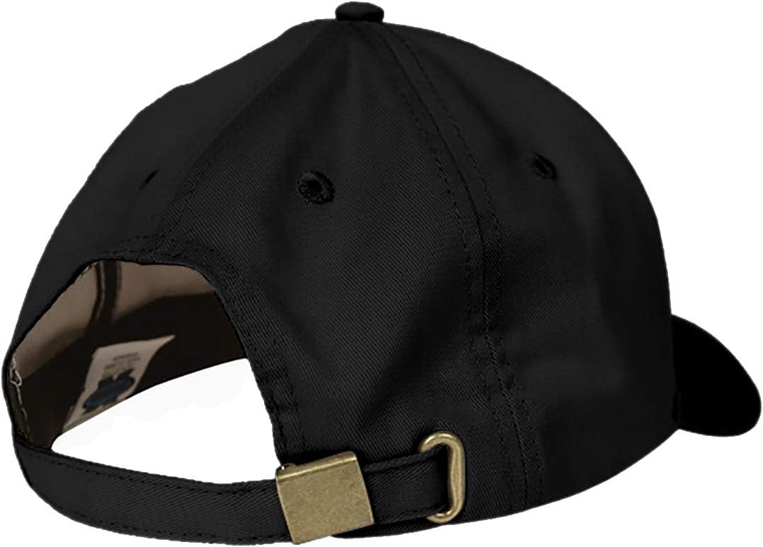 51p7jSW719L. AC SL1140 Indica Plateau Taxation is Theft Adjustable Unisex Baseball Cap Edu Expertise Hub Taxation