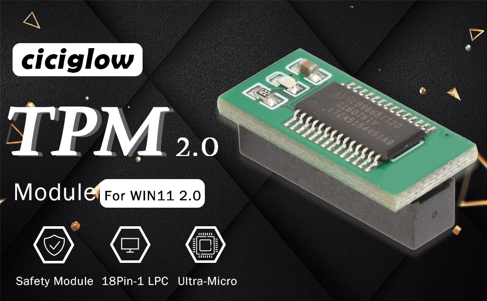 TPM2.0 Encryption Security Module