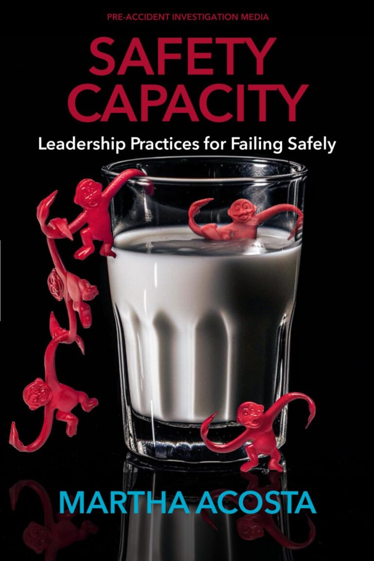 1759785595 61mT1b3Y0TL. SL1499 SAFETY CAPACITY: Leadership Practices for Failing Safely Edu Expertise Hub Processes & Infrastructure